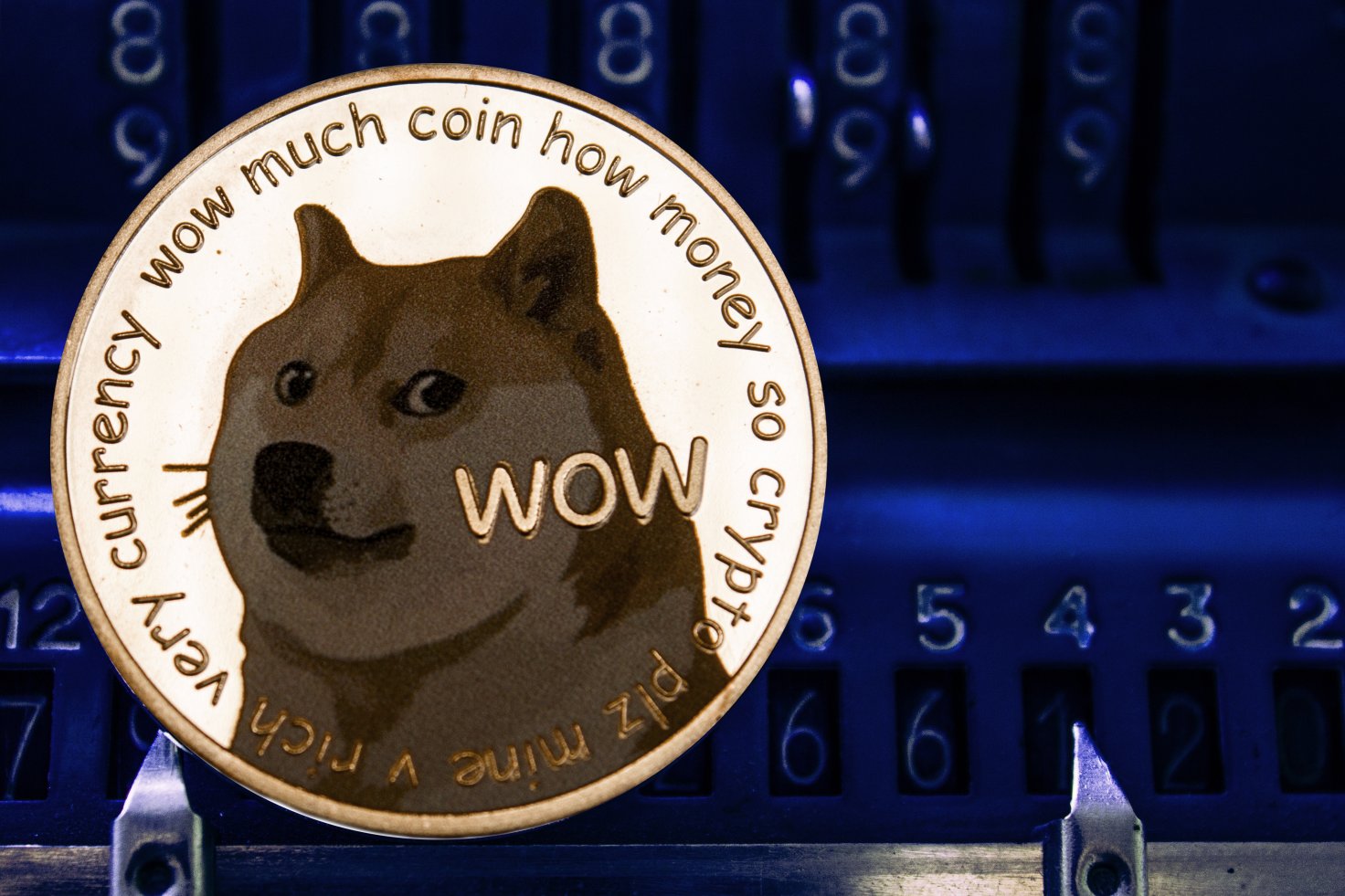 Dogecoin DOGE Dogecoin DOGE
