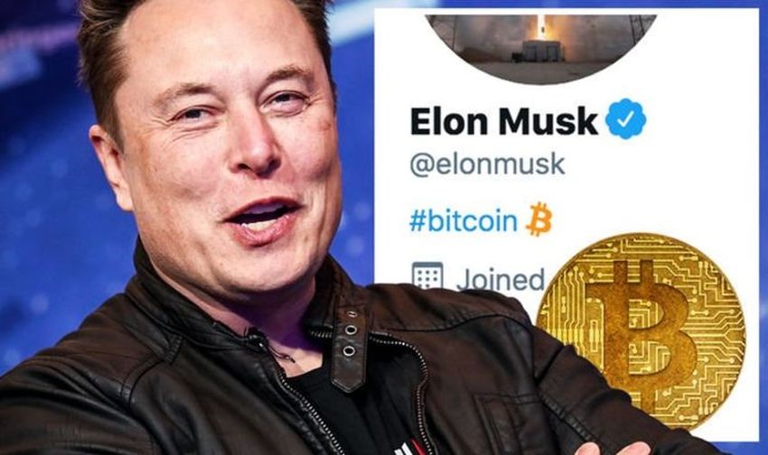 Elon Musk nennt BTC- und ETH-Preise "hoch", während er Peter Schiff in den Boden stampft