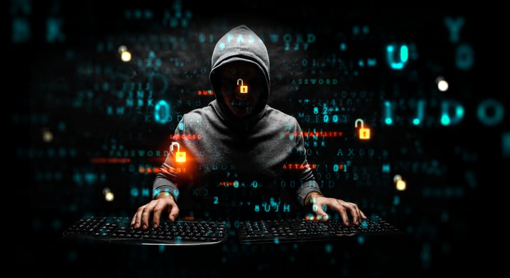 PayBack Ltd Bewertung - Können Sie auf diese Recovery-Site zählen?