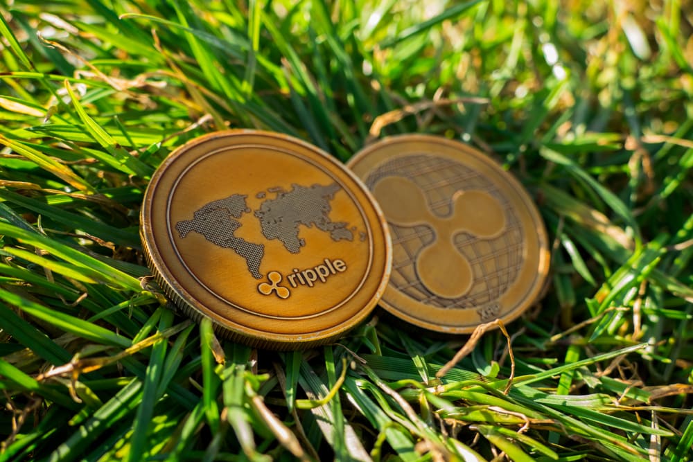 Ripple Survey Suggests Latam Merchants’ Mass Adoption Of Crypto Shall Come After Three Years